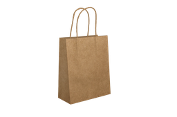 Sac à poignées 24*11*32 (CARTON DE 100 SACS)